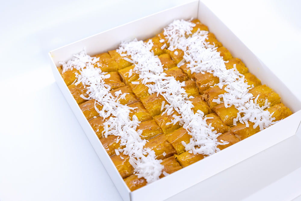 Premium Mediterranean Hand Made Coconuts Roll Baklava